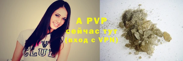 стафф Алзамай