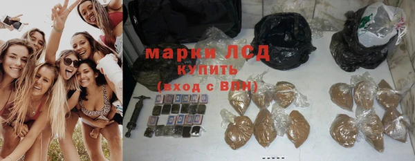 стафф Алзамай