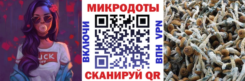 MEGA онион  купить  цена  Оса  Галлюциногенные грибы MAGIC MUSHROOMS 